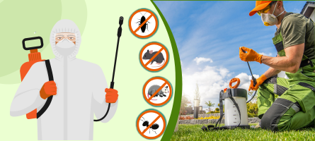 Emergency Pest Control Moonee Ponds
